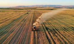 Kalkınma programları kırsal bölgelere iş ve aş oluyor