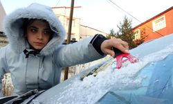 Kars'ta soğuk hava ve kırağı etkili oldu