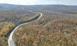 Tekirdağ'da ormanlar sonbahar renklerine büründü