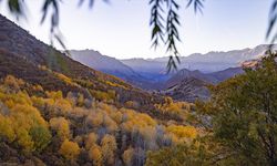 Tunceli'nin Salördek ormanları sonbaharda doğayla buluşmak isteyenleri ağırlıyor
