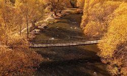 Van'daki İnci Kefali Tabiat Parkı sonbahar renklerine büründü