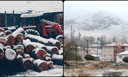 Yurdun bazı kesimlerinde kar yağışı etkili oldu