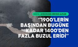 Alplerin bütün buzulları risk altında