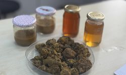 Arı ürünleri araştırmaları 'KTÜ APİMER' çatısı altında sürdürülecek