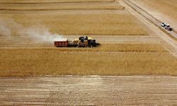 Çiftçilere 2,5 milyar lira tarımsal destekleme ödemesi bugün yapılacak