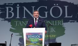 Cumhurbaşkanı Yardımcısı Yılmaz: Biz hem 'Terörsüz Türkiye' hem 'Terörsüz Bölge' diyoruz