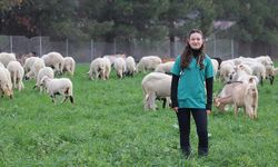 Devlet desteğiyle besiciliğe başlayan veteriner, babasının emanetine de sahip çıkıyor