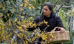 El emeği ipeği özgün tasarımlara dönüştürüyor