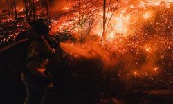 İspanya'da bu yıl 350 bin hektardan fazla ormanlık alan yandı