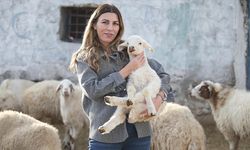 İstanbul'dan köyüne dönüp hayvancılığa başlayan kadın 3 yılda sürüsünü 4'e katladı