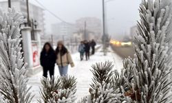 Kars, Ardahan ve Ağrı'da dondurucu soğuklar etkisini sürdürüyor