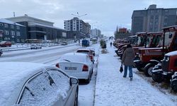 Kars ve Ardahan'da kar etkili oldu