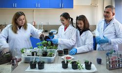 Öğrenciler 'yeşil vatan' için en hızlı filizlenen tohum topunu araştırdı