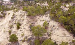 Orman işçileri erozyona karşı da sahada