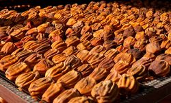 Osmaniyeli çift, Trabzon hurması kurusunu Türkiye'nin çok sayıda iline gönderiyor