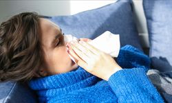 Sağlık Bakanlığı, mutasyona uğramış gribin Türkiye için endişe oluşturmadığını açıkladı