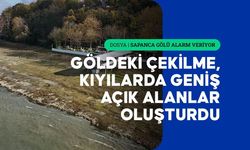 Sakarya'da sahil esnafı Sapanca Gölü için 'can suyu' bekliyor