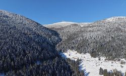 Samsun'da kar altındaki ormanlar dronla görüntülendi