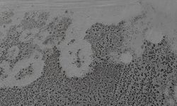 Tamamen kuruyan Seyfe Gölü Kuş Cenneti sessizliğe büründü