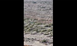 Tarım ve Orman Bakanlığından Ağyatan Lagünü'nde kumul erozyonuyla mücadele