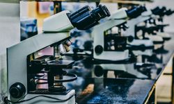 Türk ve Avrupalı araştırmacılar, hastalara yönelik kişiselleştirilmiş tedavileri birlikte geliştirecek