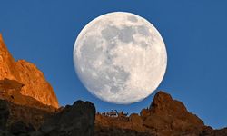 Van'da dağın zirvesindeki yaban keçileri dolunayla birlikte görüntülendi