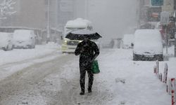 Van'da eğitime bir gün ara verildi