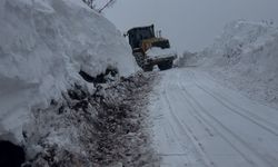 (DÜZELTME) Battalgazi Belediyesi Ekipleri 21 Kilometre Yolu Açtı, Hasta Kadına İlacını Ulaştırıldı