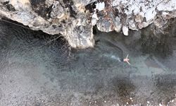 Arapgir'de Dondurucu Soğuklara Meydan Okuyan Bir Yaşam