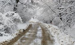 Malatya'da Dört İlçede Taşımalı Eğitime Kar Engeli