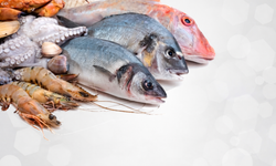 Malatya'da Su Ürünleri Av Yasağı Başlıyor