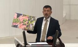 Ağbaba Meclis'te Uyardı: 'Kayısı Yerle Bir Oldu, Don Dolu Bir De Faiz Afeti Var'