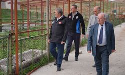 Darende'de Güvenli Ve Sağlıklı Kurban Kesimi İçin Seferberlik