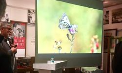 Malatya Kelebek Çeşitliliğiyle İlk 5'te