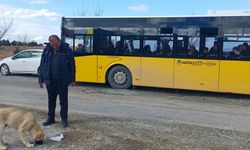 MOTAŞ Şoföründen Yürek Isıtan Hareket: Topallayan Köpeğin Ayağındaki Taşı Çıkardı