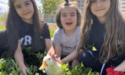 Okulda Şiddete Karşı Örnek Model: Mercan Koleji'nde Sevgi Temelli Eğitim