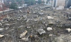Tarihi Mezarlar İçin Koruma Çağrısı