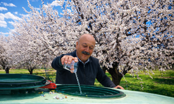 Zirai Dona Karşı Zemzemli Önlem