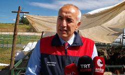 Akar: 'Malatya'da Kurbanlık Sayısında Sorun Yok'