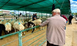 Canlı Hayvan Pazarında Son Gün