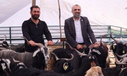 Kurban Pazarında Hareketlilik Başladı