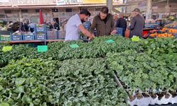Pazardaki Fiyatlar Artınca Vatandaş Fideliğe Koştu