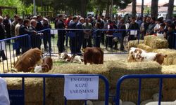 Yazıhan'da Dünya Çiftçiler Günü Coşkuyla Kutlandı