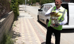 Malatya'da İhtiyaç Sahiplerine Yemek Desteği