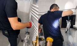 Yavru Kedinin İmdadına İtfaiye Yetişti