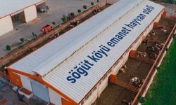 Gurbetçilere Özel 'Emanet Hayvan Oteli' Projesi Hayata Geçiyor