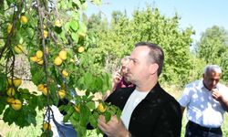 Karademir 'Kayısı Malatya'nın Can Damarıdır'