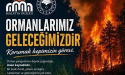 Malatya'da Orman Yangını Alarmı: 2026'da 56 Anız, 6 Orman Yangını Çıktı