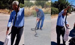 Malatya'nın 'Yılan Savar' Muhtarı Bu Kez İki Dev Kara Yılanı Yakaladı