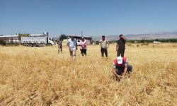 Yeşilyurt'ta TAKE Projesi Kapsamında Nohut Hasadı Yapıldı